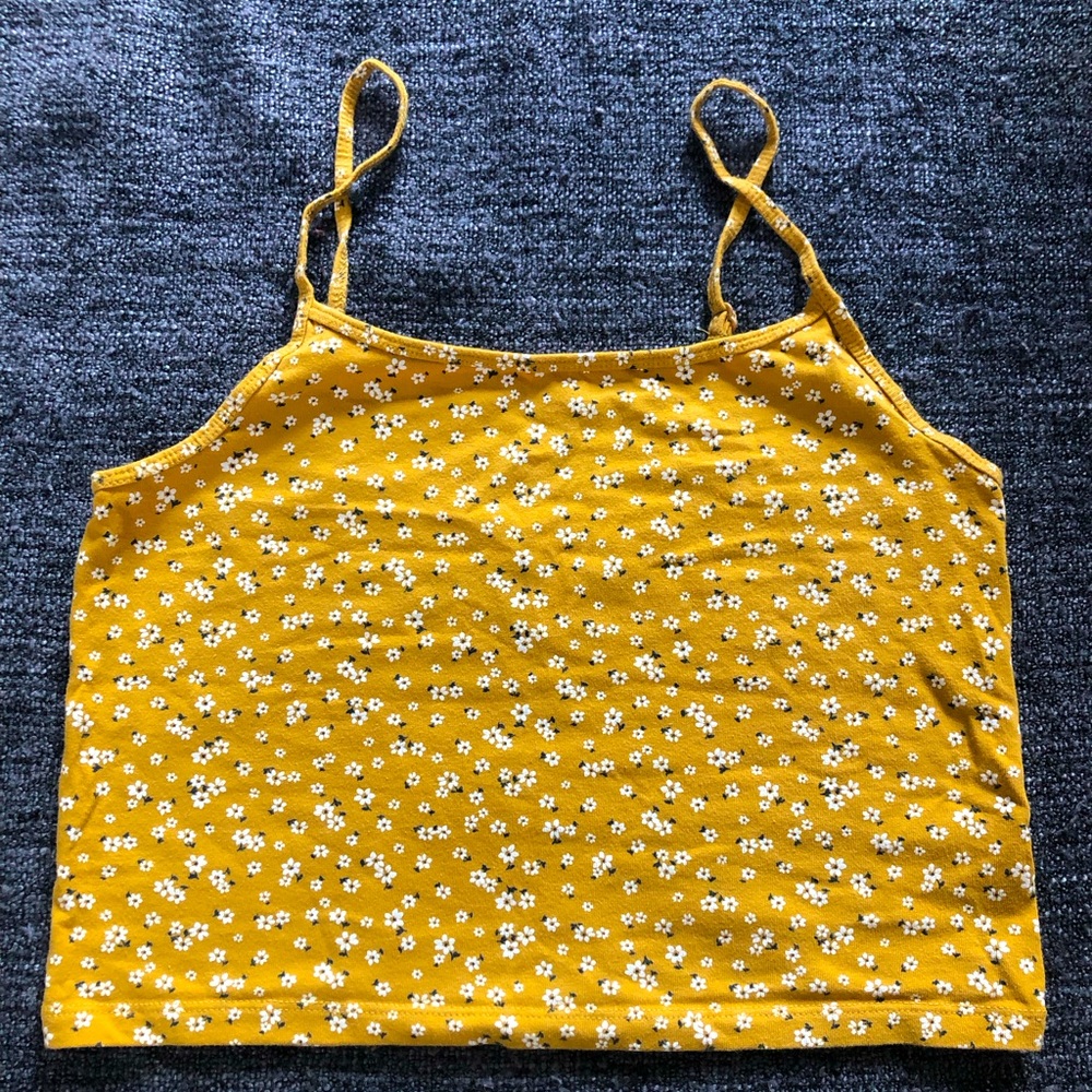 American Eagle Cropped Floral Tank